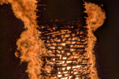 PXL_20260222_182728255